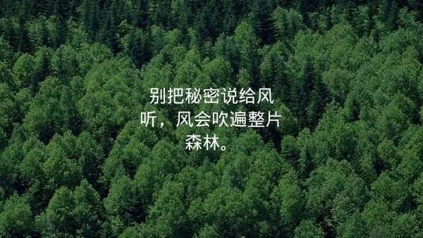 最近有点乱了