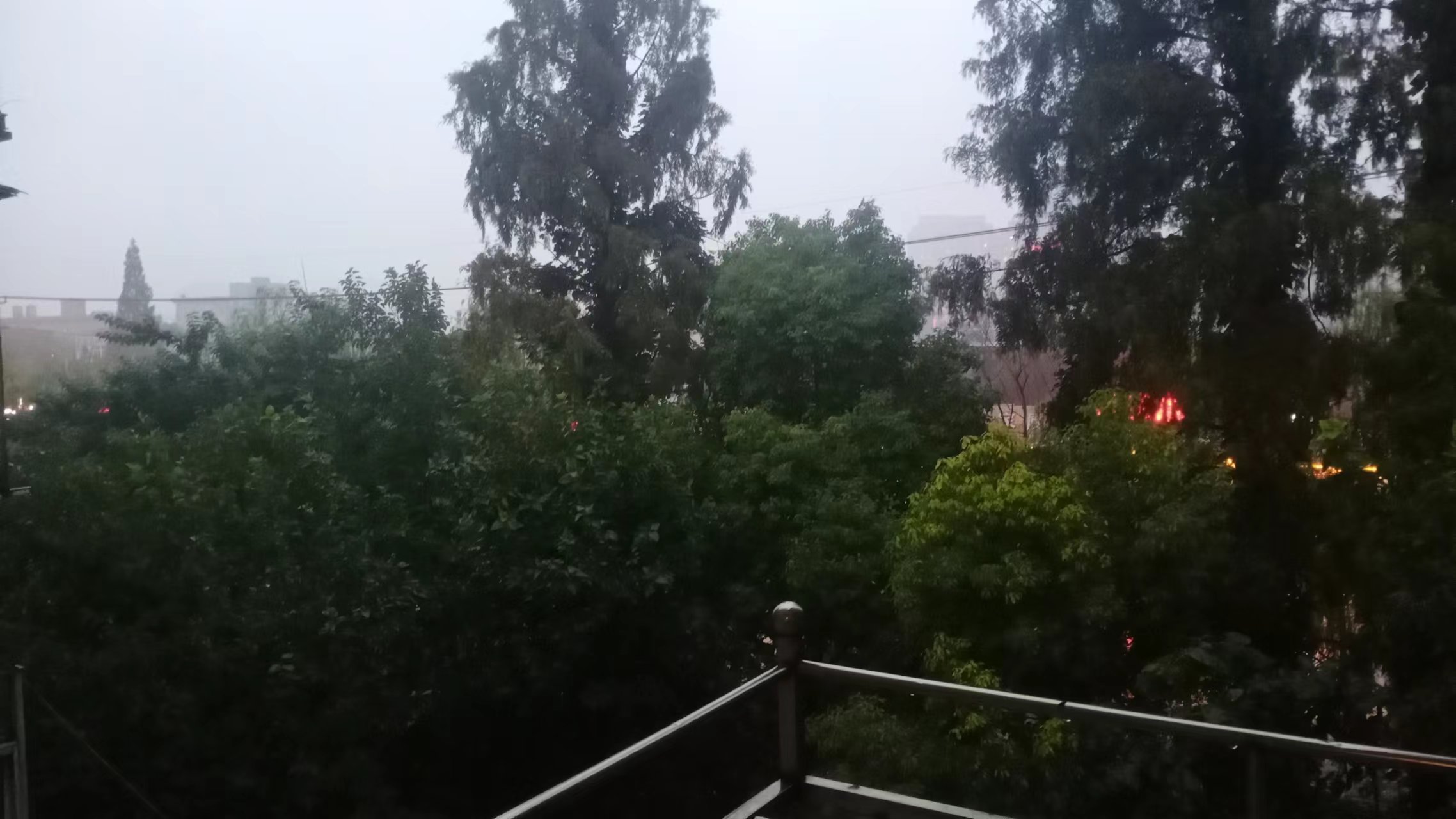 风声,雨声,台风声-臭虾米博客