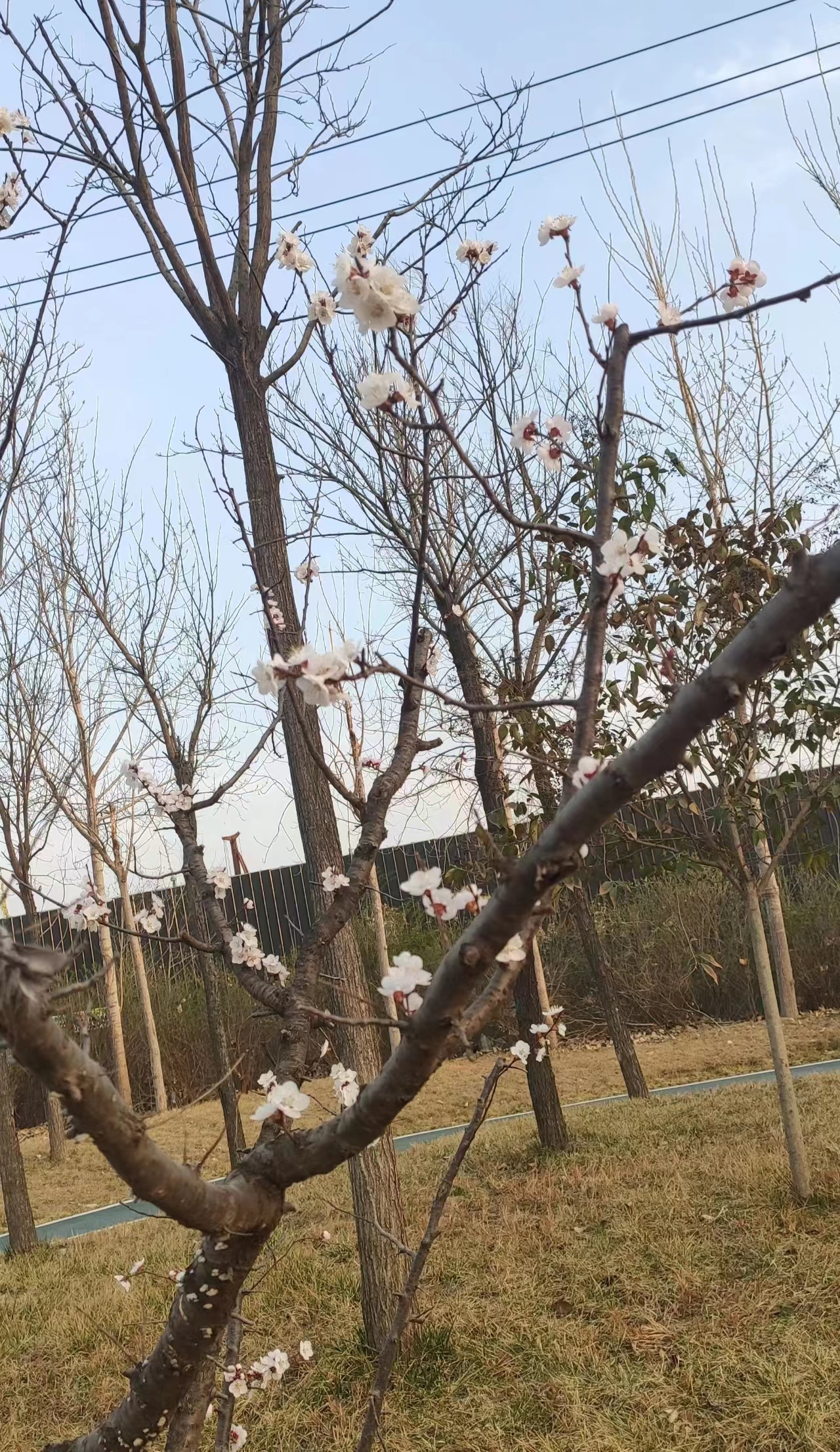 自律从自身做起-臭虾米博客