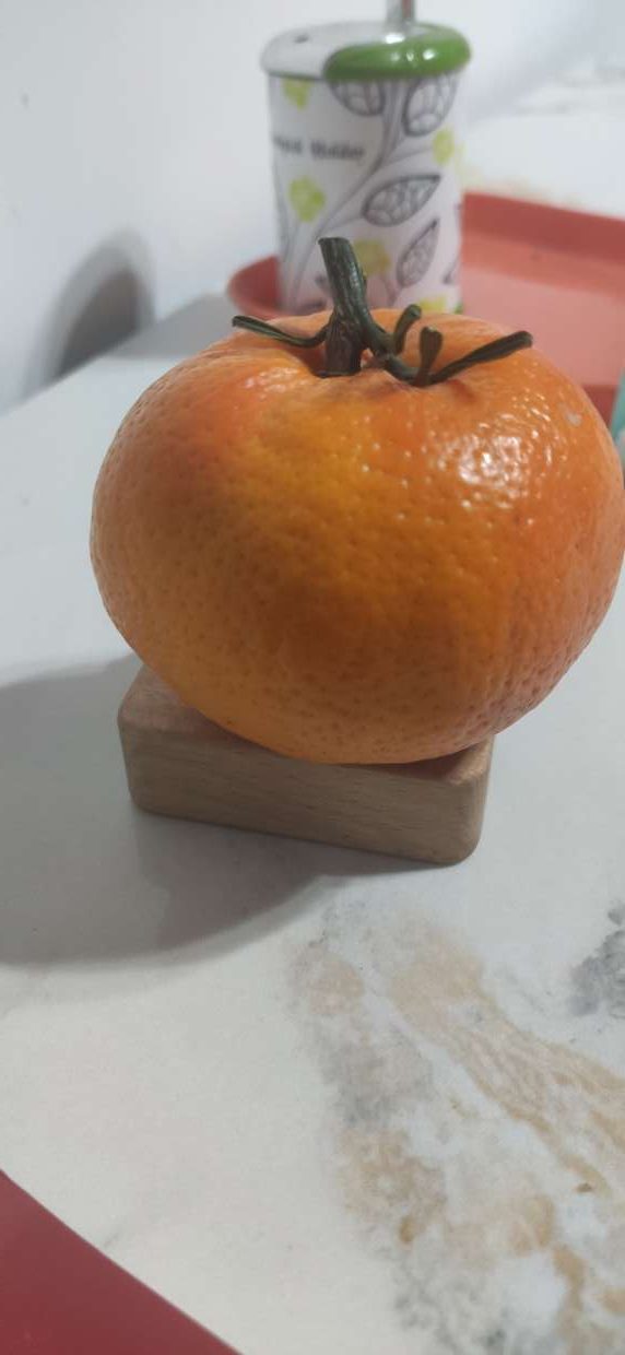 娃儿躺平的一天-臭虾米博客