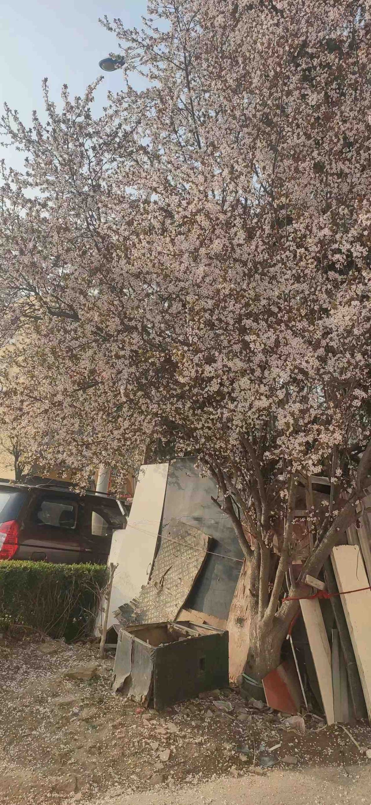 舍不得孩子套不着狼-臭虾米博客